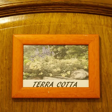 Chill Hill & Private Hostel Ericeira