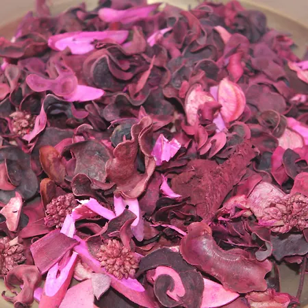 Chill Hill & Private Hostel Ericeira