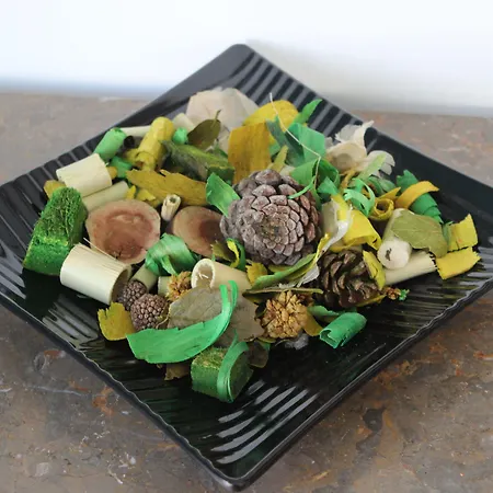 Hostel Chill Hill & Private