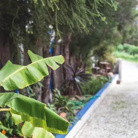 Hostel Chill Hill & Private *