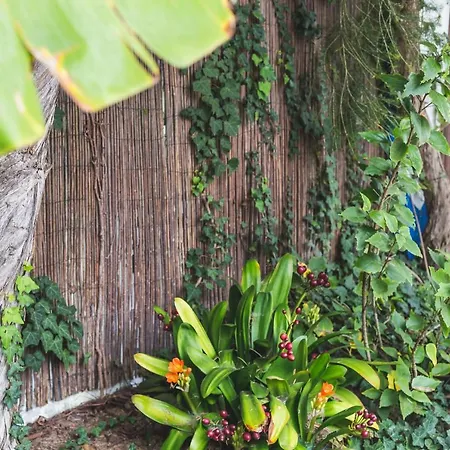 Hostel Chill Hill & Private Ericeira