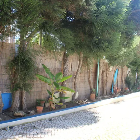 Chill Hill & Private Hostel