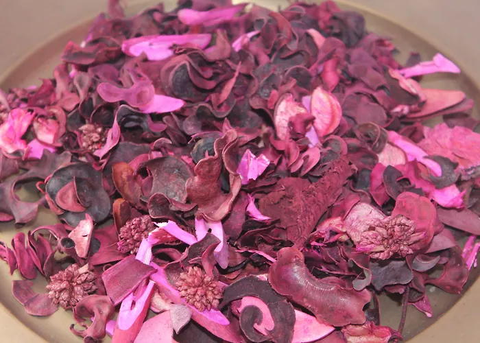 Chill Hill & Private Albergue Ericeira