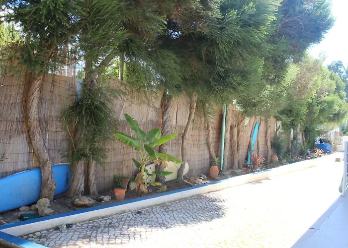 Chill Hill & Private Albergue