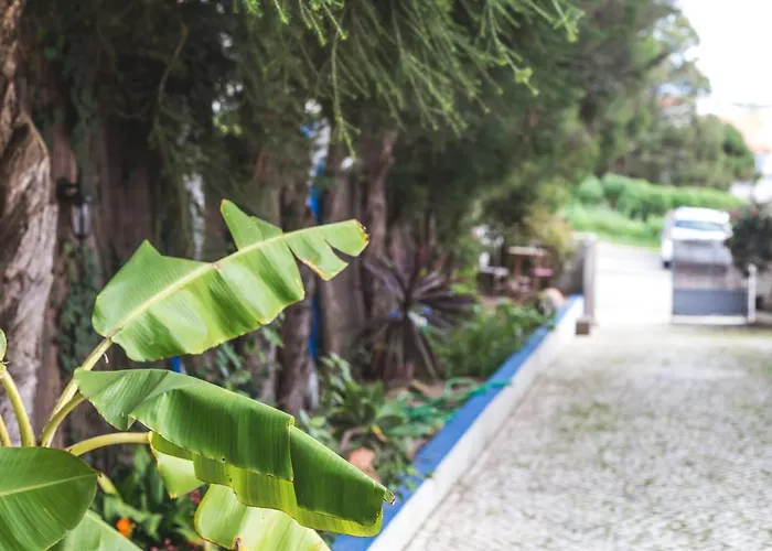 Albergue Chill Hill & Private *