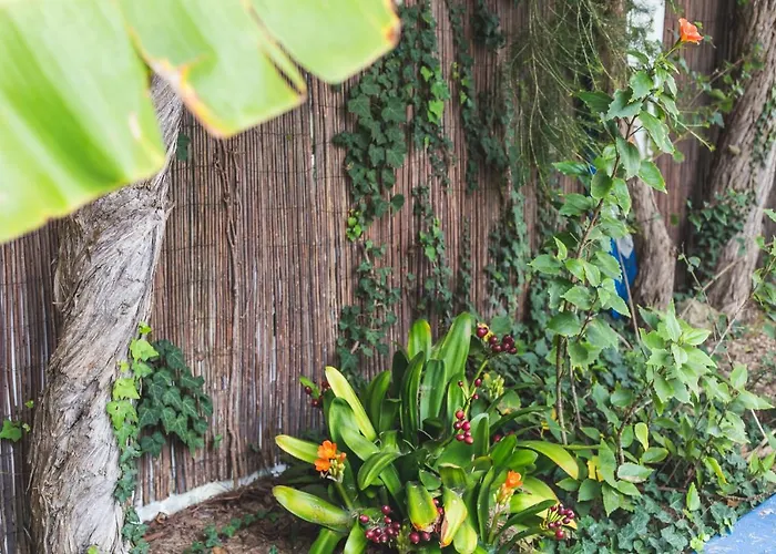 Albergue Chill Hill & Private Ericeira